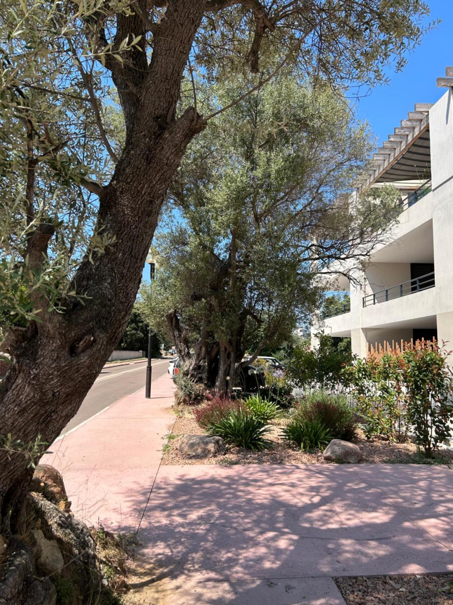 Sognu Di Serena - Superbe Avec Parking Gratuit Sur Place Apartment